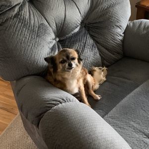 Meet your Posher, Candace